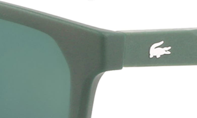 Shop Lacoste 57mm Rectangular Sunglasses In Matte Green