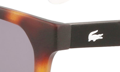 Shop Lacoste 57mm Rectangular Sunglasses In Matte Havana