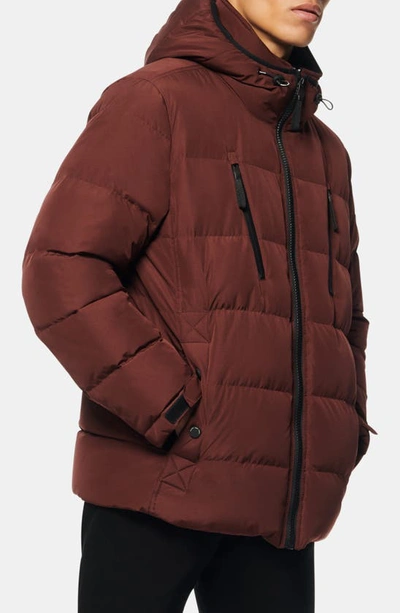 Shop Marc New York Montrose Water Resistant Quilted Coat In Oxblood