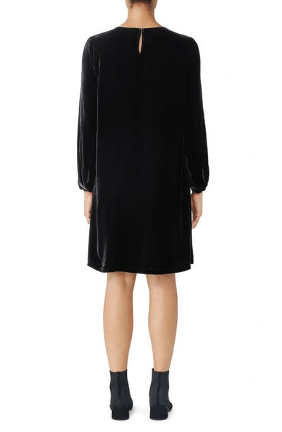 Shop Eileen Fisher Long Sleeve Velvet Shift Dress In Black