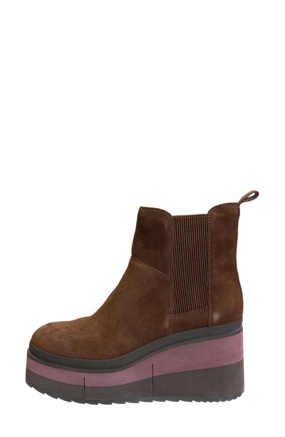 Shop Naked Feet Guild Wedge Chelsea Boot In Cacao