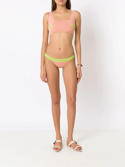 Clube Bossa Treme Rope-detail Bikini Bottoms In Pink