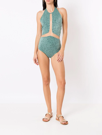 Shop Brigitte Lea Leopard-print Swimsuit In Green