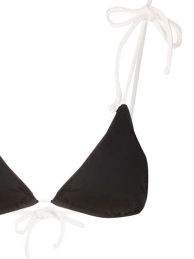 Shop Clube Bossa Two-tone Bikini Top In Black