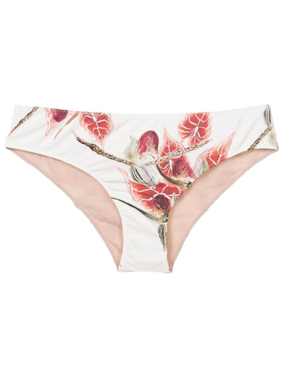 Shop Clube Bossa Leaf-print Bikini-bottoms In Neutrals