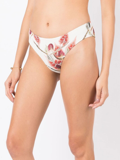 Shop Clube Bossa Leaf-print Bikini-bottoms In Neutrals