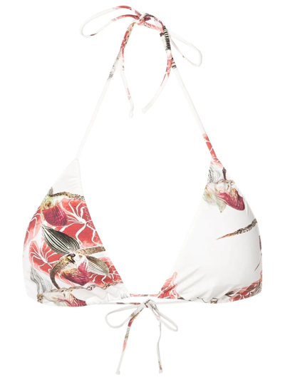 Shop Clube Bossa Aava Floral-print Bikini-top In Neutrals