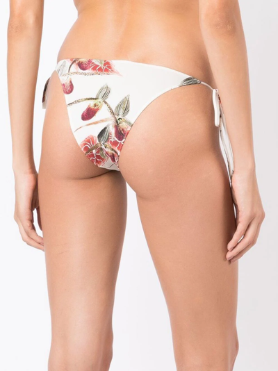 Shop Clube Bossa Aava Floral-print Bikini Bottoms In Neutrals