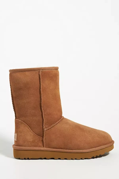 Shop Ugg Classic Ii Short Boots In Yellow