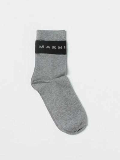 Shop Marni Socks  Kids Color Grey