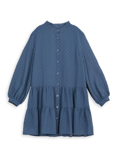 Mini Molly Kids' Girl's Embroidered Tiered Dress In Denim Blue