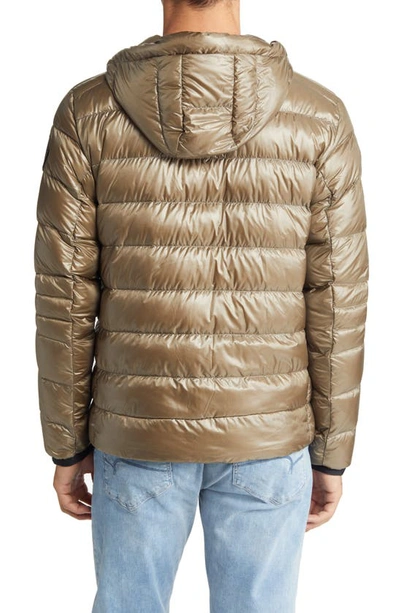 Shop Canada Goose Crofton Packable 750 Fill Power Down Hooded Jacket In Northwood Khaki