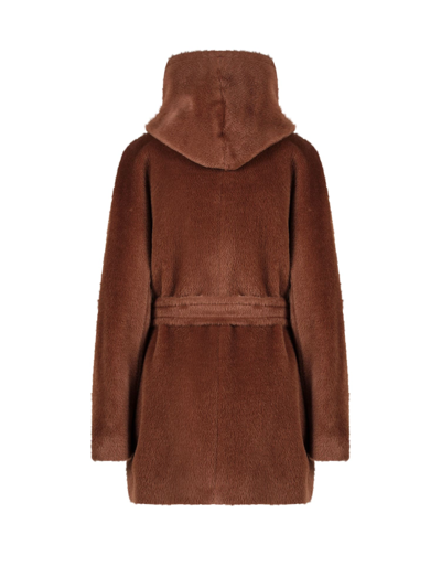 Shop Tagliatore Coat In Brown