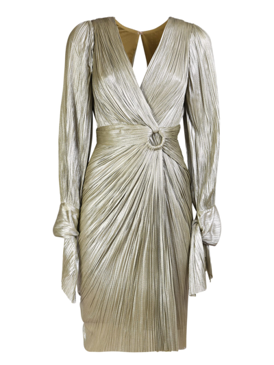 Shop Maria Lucia Hohan Sawyer Dress In Metallic