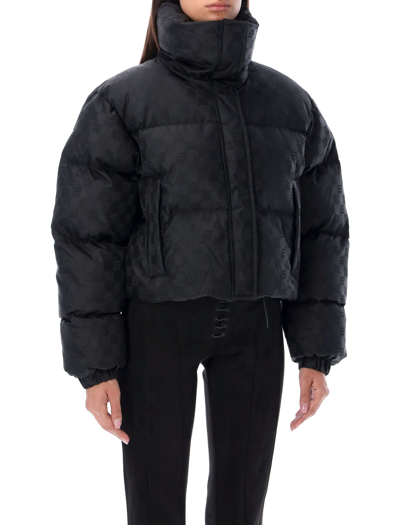 Shop Misbhv Monogram Nylon Puffer Jacket In Black Monogram
