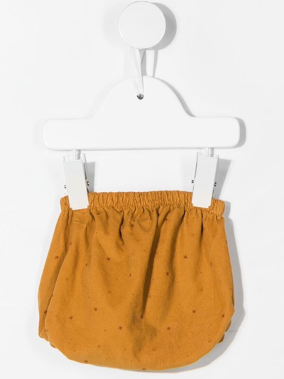 Shop Knot Jo Corduroy Shorts In Brown