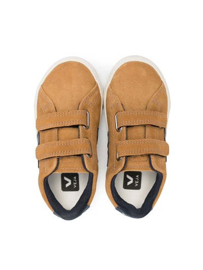 Shop Veja Suede-leather Touch-strap Sneakers In Brown