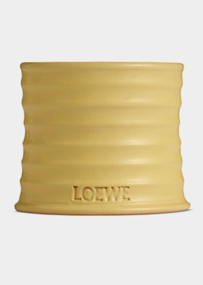Shop Loewe 5.8 Oz. Small Honeysuckle Candle