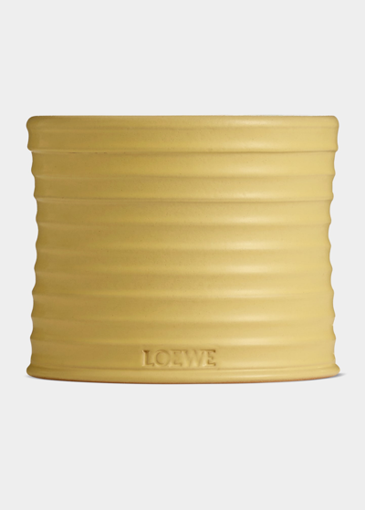 Shop Loewe 21.5 Oz. Medium Honeysuckle Candle