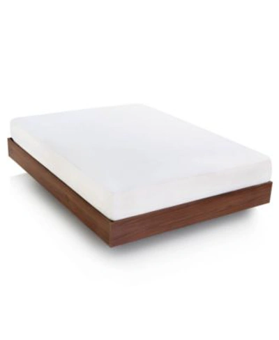 Shop Lucid Dream Collection By  Rayon From Bamboo Jersey Mattress Protectors In White