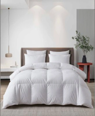 Shop Martha Stewart Hungarian Goose Down All Season Comforters In White