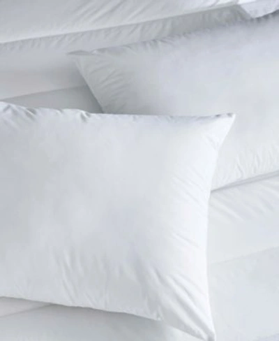 Shop Clean Design Home Allergen Barrier Pillow In White