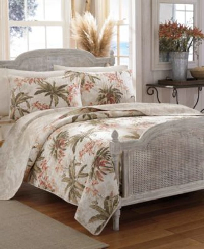 Shop Tommy Bahama Home Tommy Bahama Bonny Cove Quilt Sets In Coconut