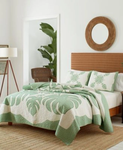 Shop Tommy Bahama Home Tommy Bahama Molokai Quilt Collection Bedding In Green
