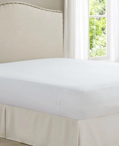 Shop All-in-one All In One Cool Bamboo Mattress Protector With Bed Bug Blocker In White