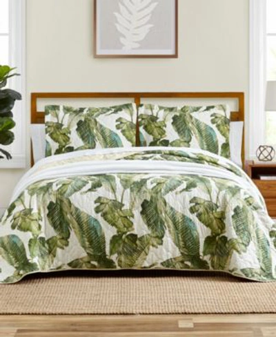 Shop Tommy Bahama Home Tommy Bahama Fiesta Palms Bright Quilt Set In Palm Green