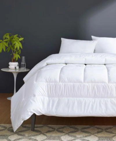 Shop Clean Design Home Allergen Barrier Comforter In White