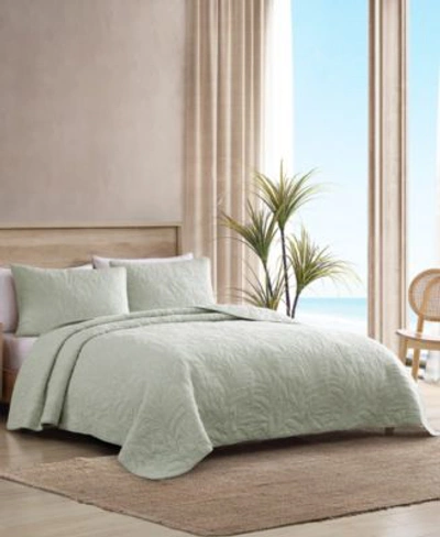 Shop Tommy Bahama Home Tommy Bahama Costa Sera Quilt In Sage Green