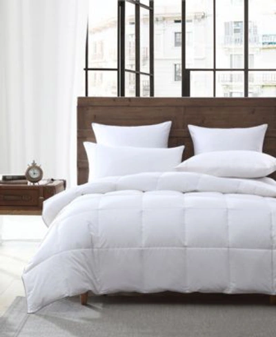 Shop Smithsonian Sleep Collection Natural Down Feathers All Season Comforters In White
