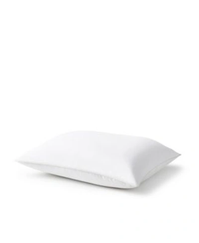 Shop Sleeptone Loft Overstuffed Synthetic Down Pillow Collection In White