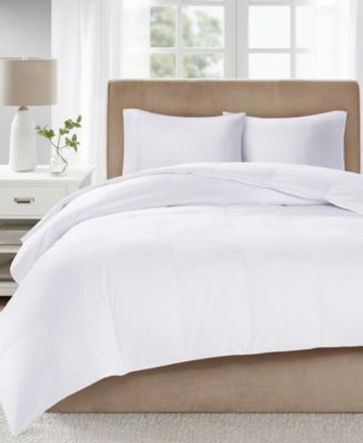 Shop Sleep Philosophy True North By  Level 3 3m Scotchgard 300 Thread Count Down Comforters In White