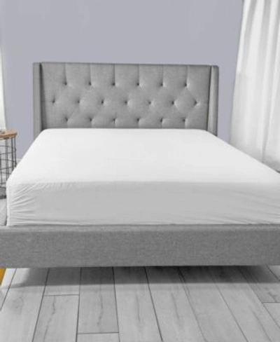 Shop Allerease Reserve Cotton Fresh Mattress Protectors In White