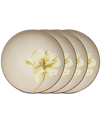 Noritake Colorwave Floral Accent Plates, Set Of 4 In Chocolate