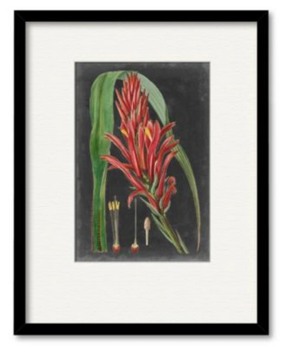 Shop Courtside Market Dramatic Tropicals Ii Framed Matted Art Collection In Multi