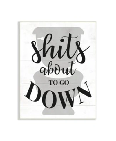 Stupell Industries About To Go Down Funny Bathroom Family Home Word Design Wall Plaque Art Collection By Daphne Polsell In Multi-color