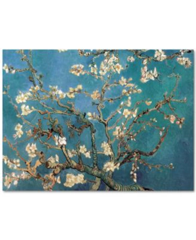 Shop Trademark Global Almond Blossoms By Vincent Van Gogh Canvas Print