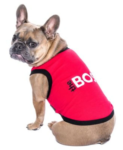 Shop Parisian Pet The Boss Dog T Shirt In Red