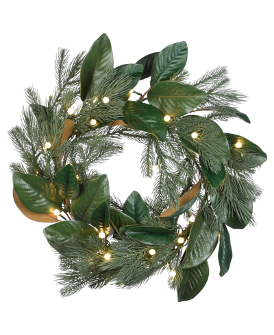 Shop National Tree Company 24" Magnolia Mix Pine Wreath With Led Lights In Green