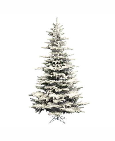 Shop Vickerman 6.5' Flocked Sierra Fir Artificial Christmas Tree Unlit In White