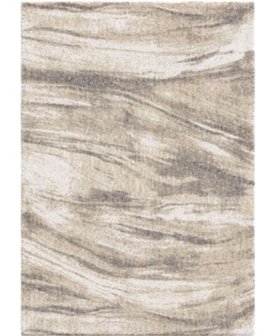 Shop Edgewater Living Closeout  Prime Shag Sycamore Ivory Rug