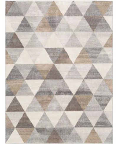Shop Abbie & Allie Rugs Rugs Roma Rom 2303 Gray Area Rug