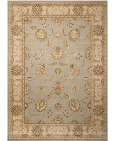 Nourison Persian Empire Pe22 Aqua Rug In Aqua