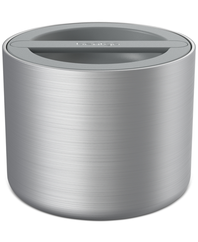 Shop Bentgo Stainless Steel Insulated Food Container