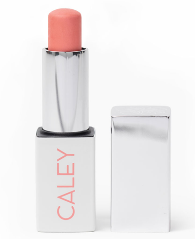 Shop Caley Cosmetics Women's Jet Set Multi-stick In Rose All Day