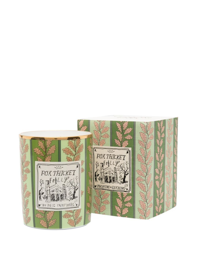 Ginori 1735 Profumi Luchino Fox Thicket Folly Candle In Grün