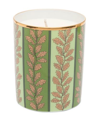 Shop Ginori 1735 Profumi Luchino Fox Thicket Folly Candle In Grün